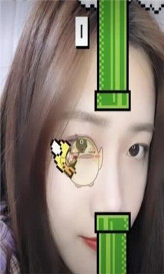 Flying Face׿(գ۾Ϸ)