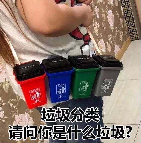 生活垃圾一般可分为四大类:可回收垃圾,厨余垃圾,有害垃圾和其他垃圾
