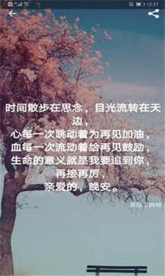 ������¼������