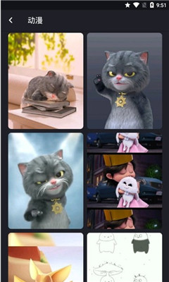 ֽ