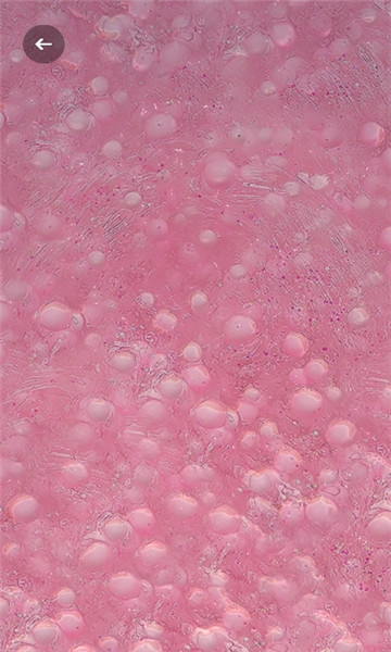 ʽʷķ׿(fancy slime)