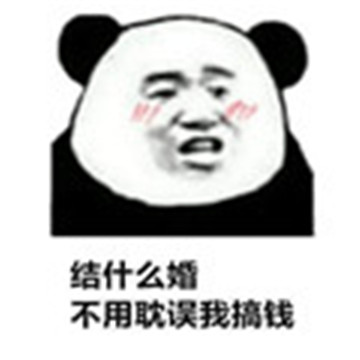 结什么婚不要耽误我搞钱表情包