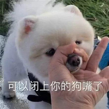 好想口吐芬芳表情包图片