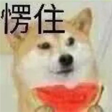 拿筷子愣住的表情包