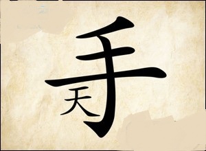 成语玩命猜手字下面一个天字是什么