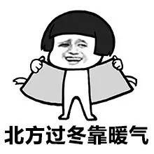 北方过冬靠暖气表情包