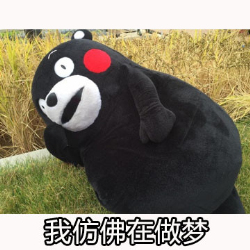 穷到吃土搞笑图片下载-熊本熊穷得吃土表情包全套无水印版 _5577安卓