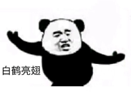 熊猫功夫招式表情包