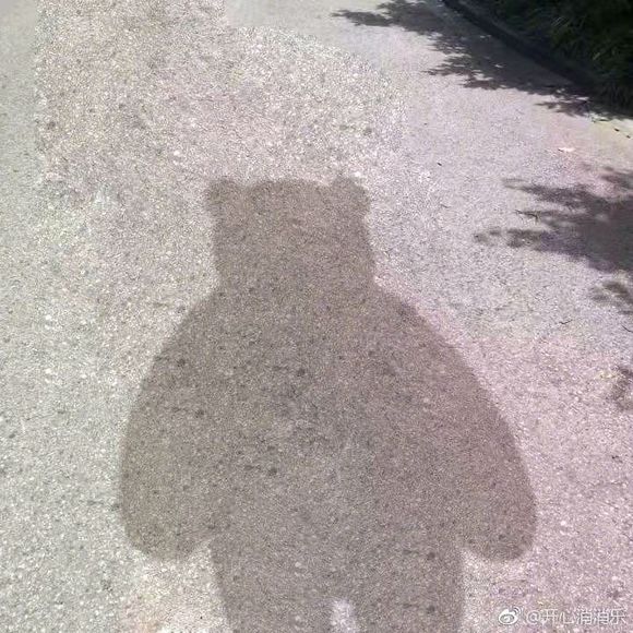 太阳下的影子表情包