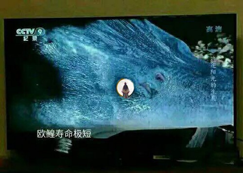 阴阳师欧皇表情包