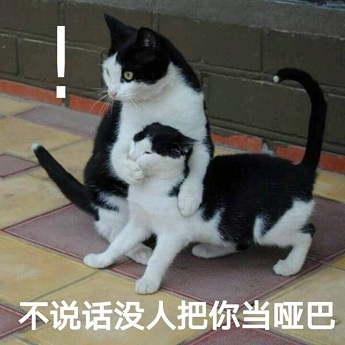 品质表情库,海量表情任你选2,紧随热点,时下最火的表情,全都不会错过3