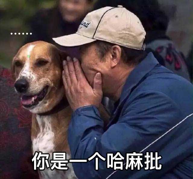 我跟你讲你听明白了吗表情图片