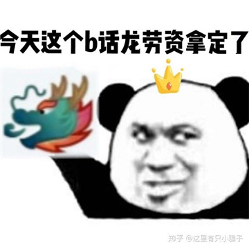 驯龙高手表情包qq龙王图片